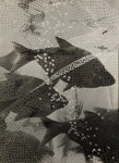 Heinz Hajek-Halke (1898-1983) Traumende Fische [End of Dream Fish], Gelatin silver print  Heinz Hajek-Halke / Michael Ruetz, Courtesy Augusta Edwards Fine Art