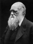 Charles Darwin. Photograph by Julia Margaret Cameron, 1968