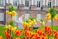 В музее-заповеднике «Царское Село» открыт цветочно-фонтанный сезон