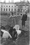 Извлечение скульптуры из укрытий, 1945 год