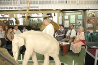 Закрытие проекта «Ставрополье родина слонов» в Ставропольском музее-заповеднике