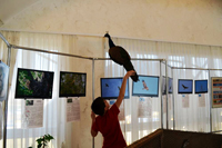 «Птичий базар» в Чувашском национальном музее