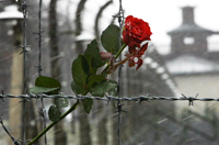 Международный день памяти жертв  Холокоста
