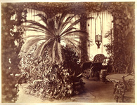 Бианки И.К. Зимний сад в особняке В.И. Барятинского. 1870-е