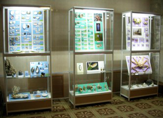Вид экспозиции