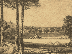 ���� ���������. (���. �����).